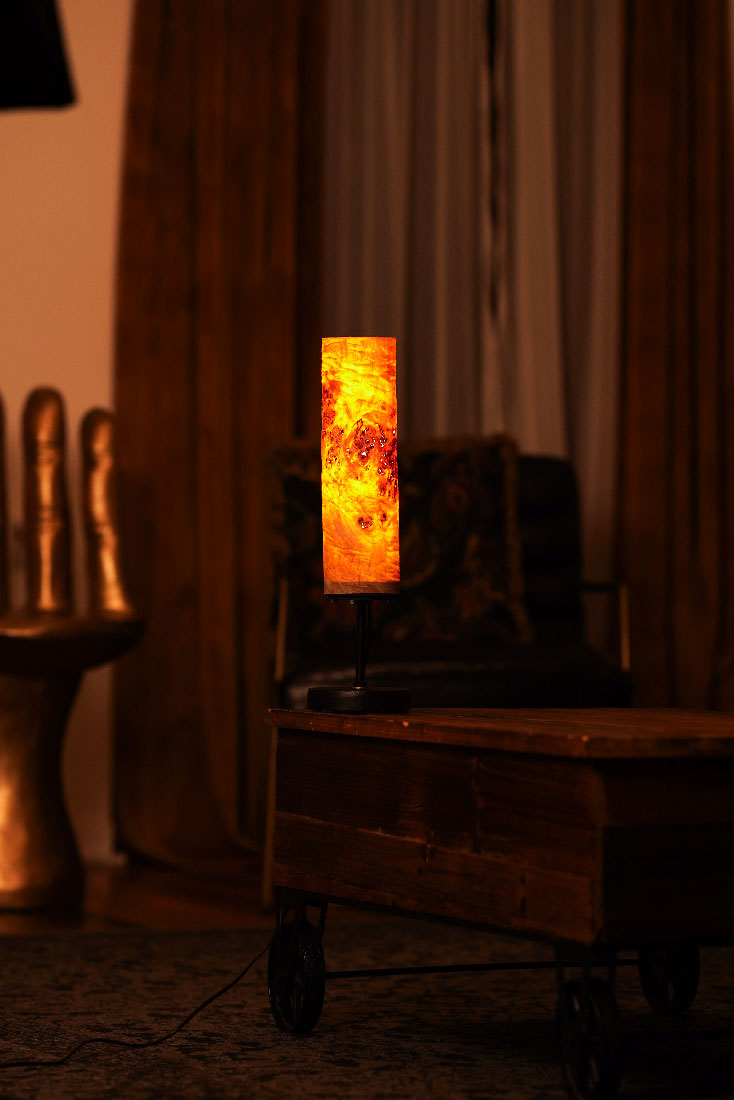 Golden Mara Table - View 4