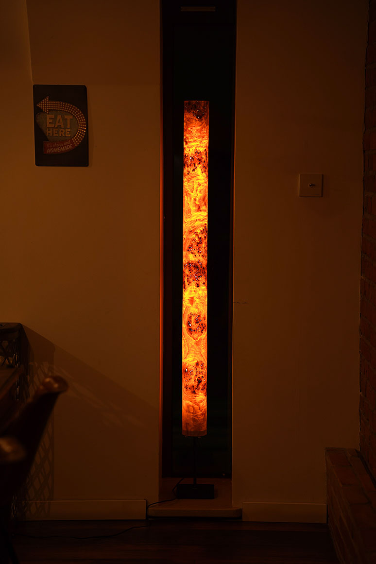 Golden Mara - View 4