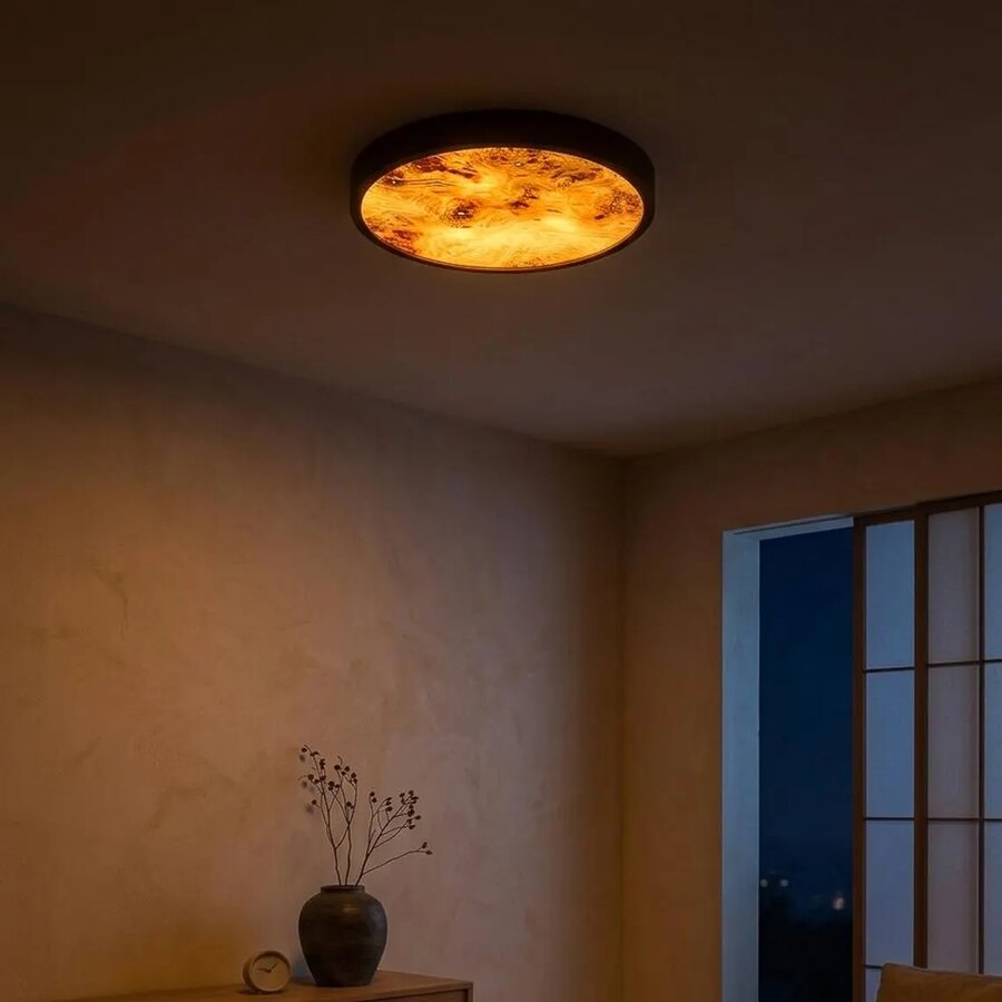 Wall or Ceiling